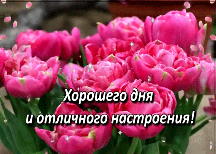 8. Анимационная гиф открытка хорошего дня и отличного настроения!