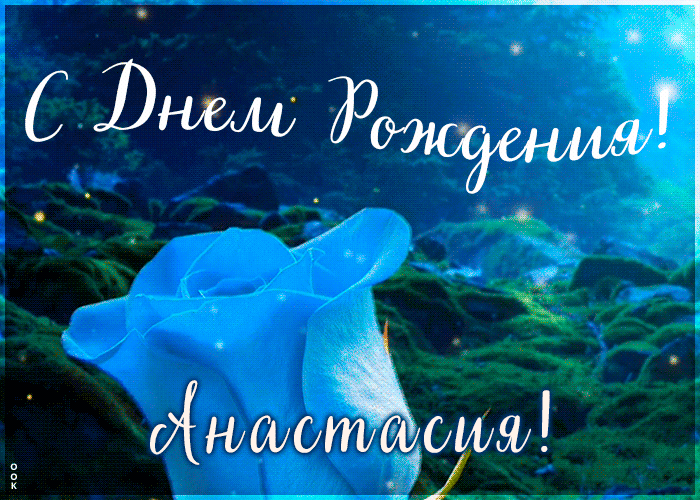 6. Классная гифка с днём рождения Анастасия с синей розой!