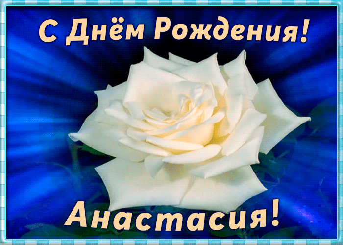 1. Гифка с днём рождения Анастасия с розой!