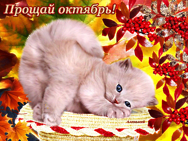 1. Гиф прощай октябрь