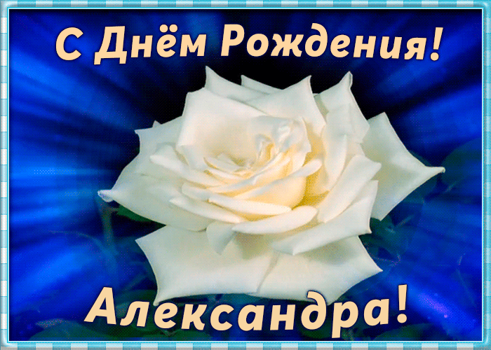 1. Гиф картинка с днём рождения Александра с распускающейся розой!
