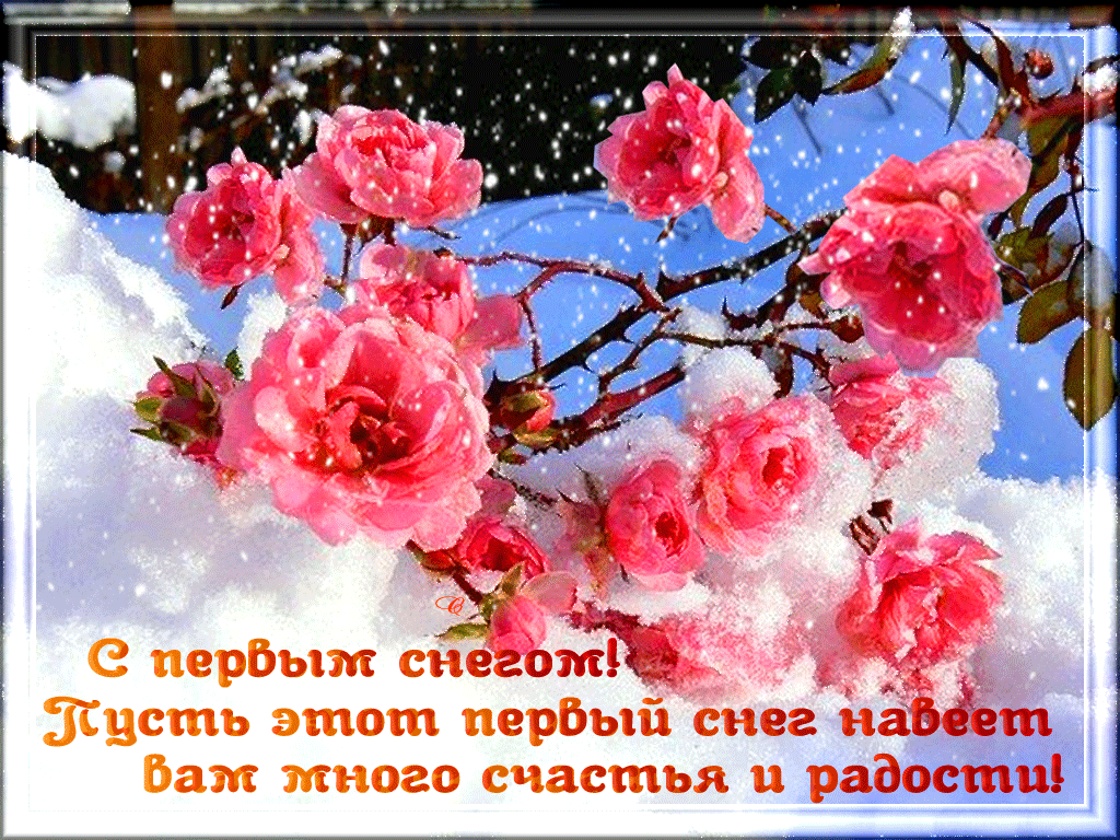 2. Гиф картинка с первым снегом!