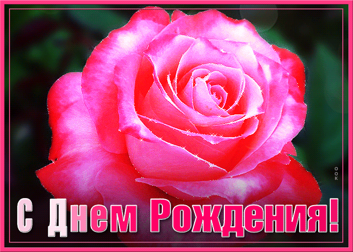 30. Красивая мерцающая гиф картинка с красной розой и поздравлением с днём рождения женщине.