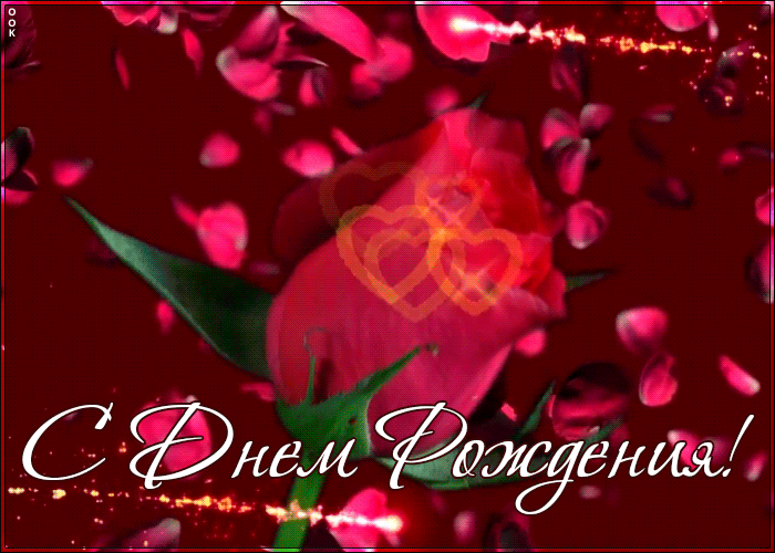 35. Красивая гиф открытка с красной розой и поздравлением с днём рождения женщине!