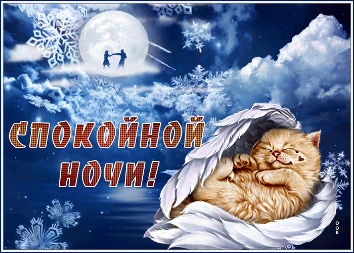 11. Красивая зимняя гифка с пожеланием спокойной зимней ночи со снежинками и кошкой!