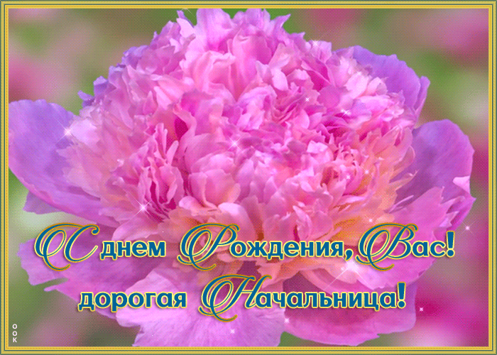 2. Мерцающая анимированная картинка с днём рождения дорогой начальнице с цветком!