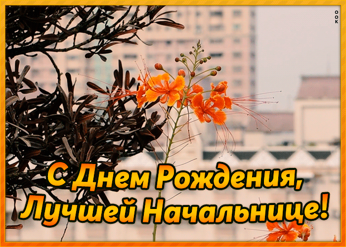 9. Анимированная картинка с днём рождения самой лучшей начальнице