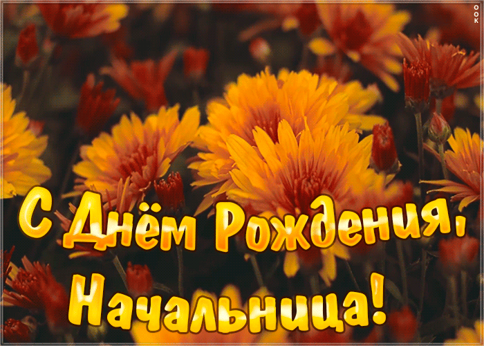 7. Анимация с днём рождения начальнице с цветами!