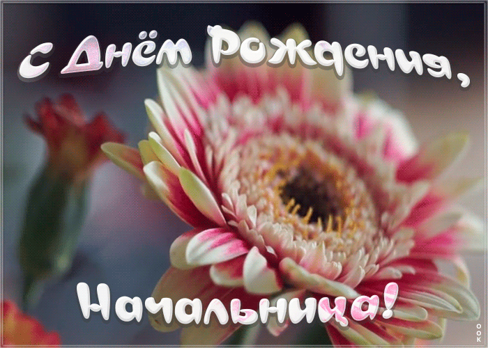 11. Гиф открытка с днём рождения начальнице с цветами!