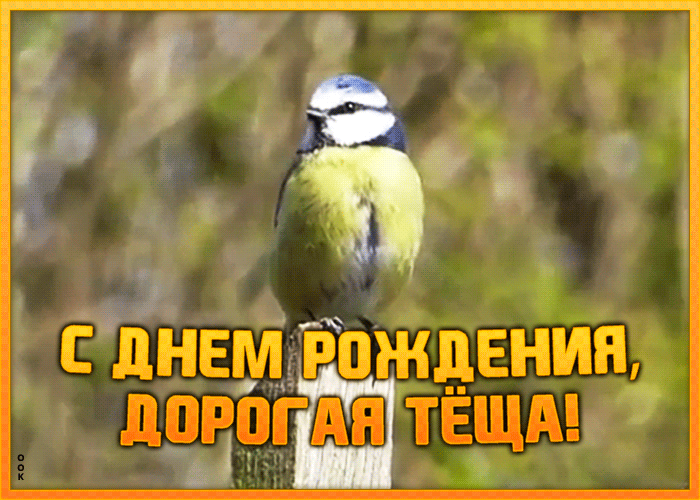 Поздравления С Днем Рождения Теще Гифки
