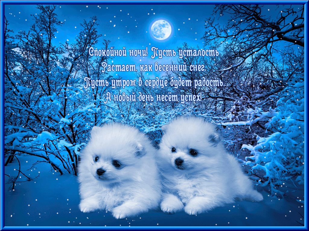 ролики со стихами