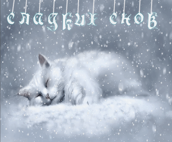 8. Зимняя гиф анимация сладких снов со снегопадом и белой кошечкой!