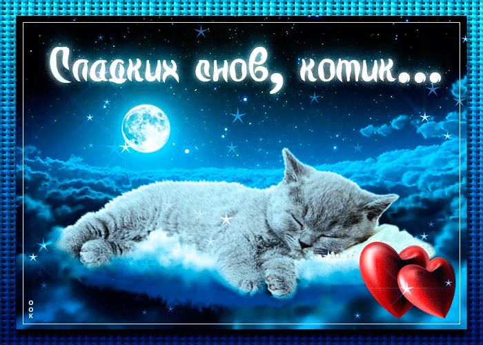 7. Красивая анимированная картинка сладких снов, котик… с мерцанием!