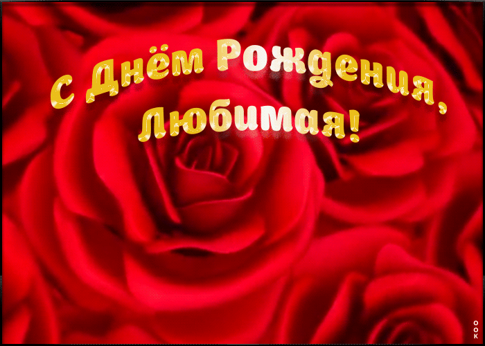 13. Поздравление с днём рождения любимой с розами.