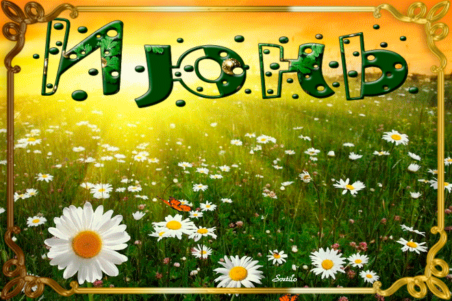1. Красивая летняя картинка с пожеланием доброго Июньского утра в ромашковом поле!