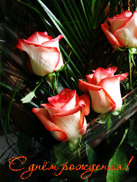 3. С днем рождения розы картинки с пожеланиями. Букет роз с днем рождения gif анимация.