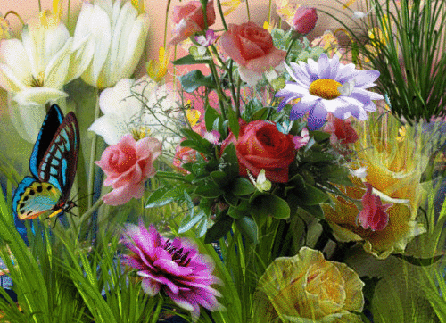2. Гифка Бабочки над цветами. Летние цветы анимация, Гифка букет цветов и бабочки.