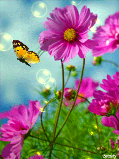 6. Летне-цветочная анимация. Красивая Поляна с цветами и бабочками, анимационная картинка Летние цветы гиф