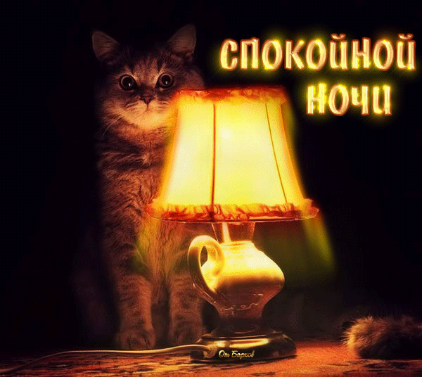 7. Прикольная гиф открытка с котиком и пожеланием спокойной ночи!
