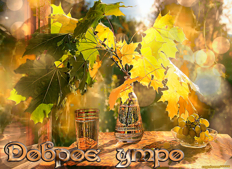 6. Пожелания доброго осеннего утра анимированная gif картинка золотая осень!