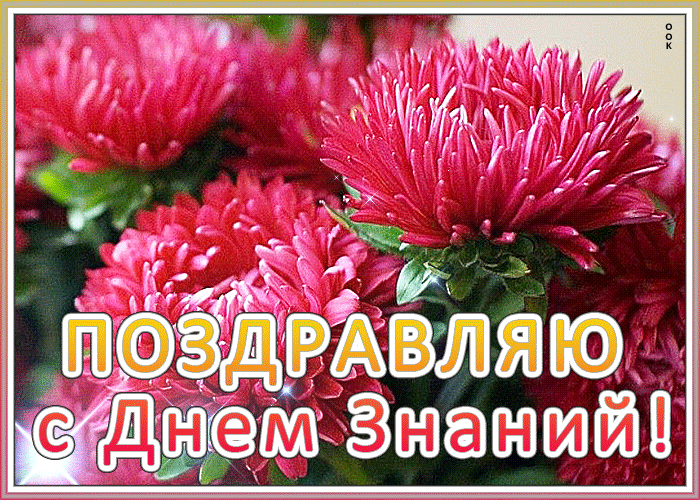 4. Мерцающая открытка, картинка День Знаний — 1 Сентября с цветами!