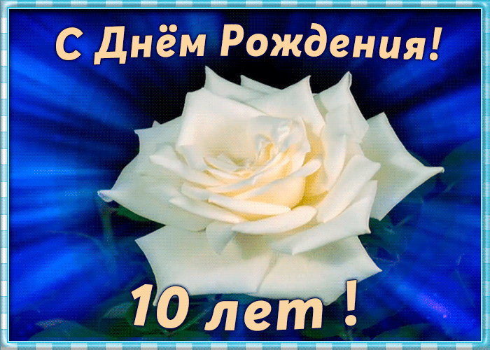 5. Анимационная картинка на день рождения с юбилеем 10 лет с белой розой