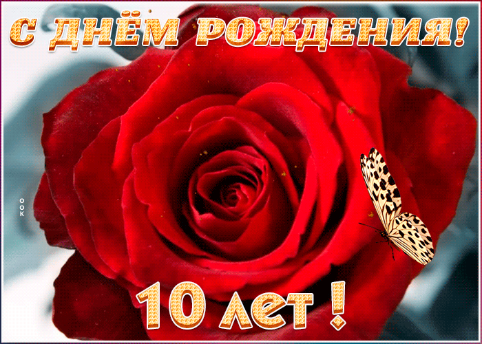 6. Красивая мерцающая gif открытка с 10-летием с красной розой!