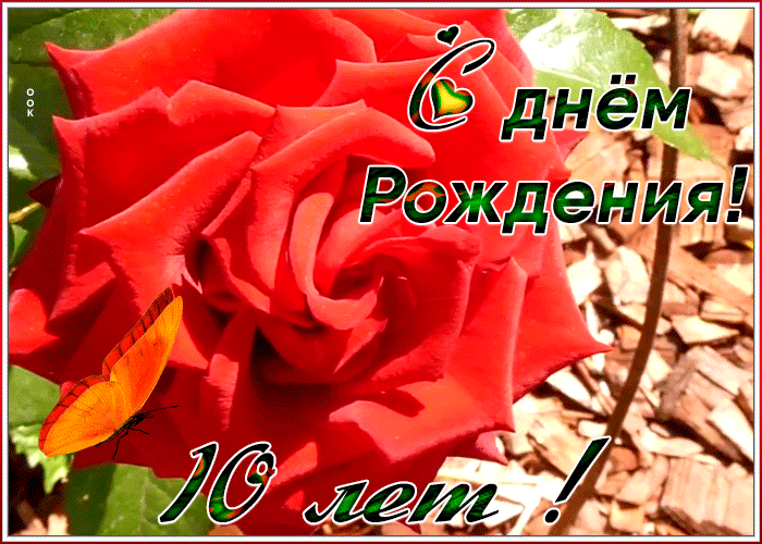 9. Красивая открытка День Рождения 10 лет девочке с розой