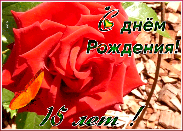 10. Красивая открытка День Рождения 15 лет с красной розой для девочки!