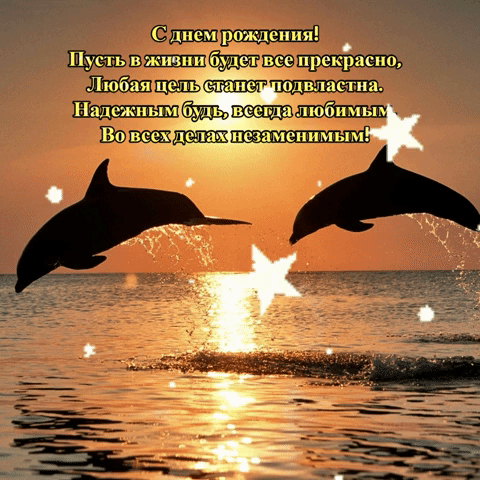 5. Красивая анимационная открытка с дельфинами на день рождения мужчине со стихами!