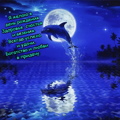 9. Красивая gif картинка с дельфином в ночном море и стихами на день рождения мужчине.