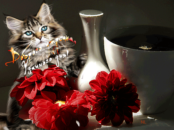 6. Большая чашка с кофе, три цветка красных георгинов и большой серый котна заднем плане с пожеланием Доброго утречка и Удачного дня