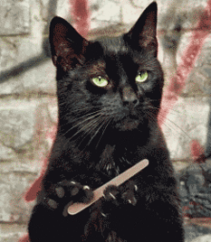 12. Прикольная gif картинка чёрная кошка точит ногти