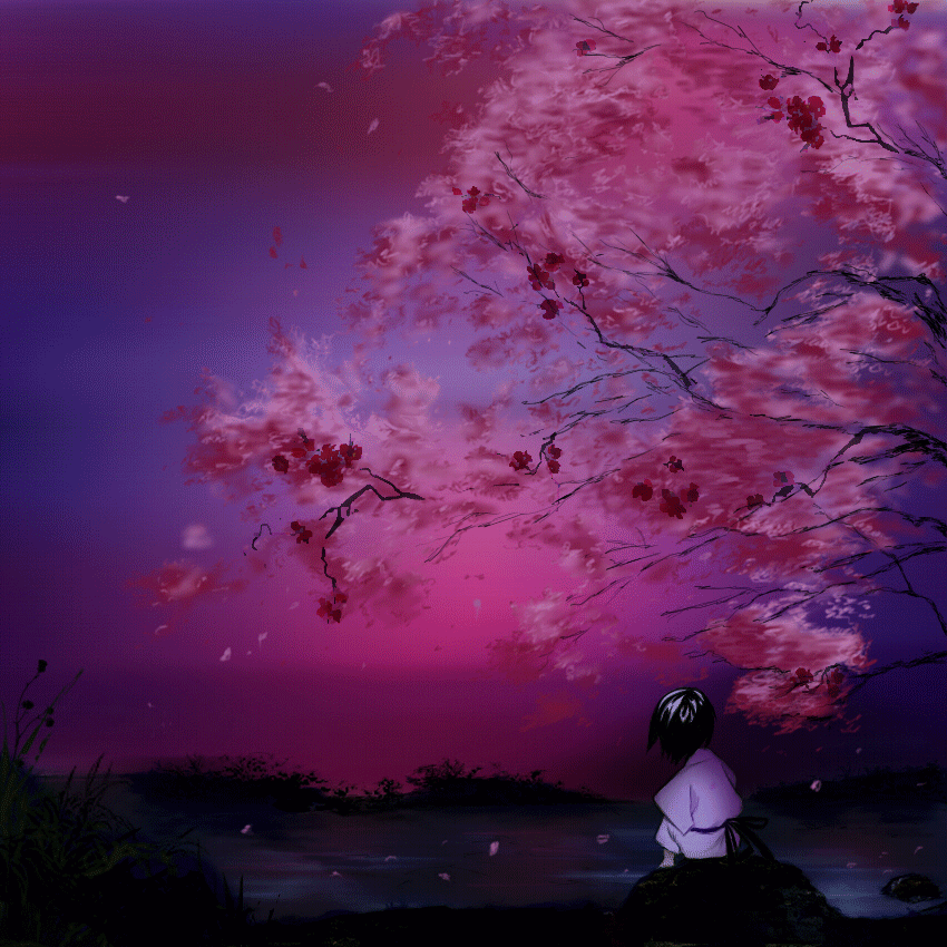 23. Аниме пейзаж, Сакура на фоне ночного неба