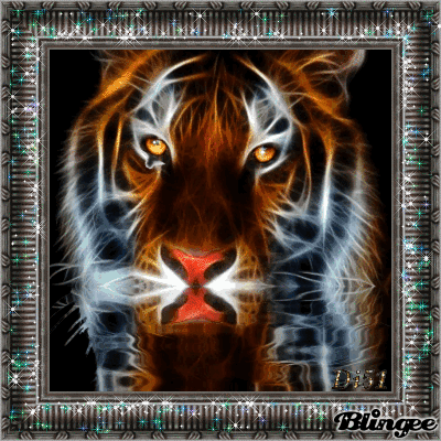 16. На этой анимированной гифке: обернские тигры, Гифки Огненный тигр