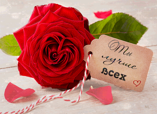 2. Живая алая роза с листочками и табличкой с красно-белой тесьмой с надписью Ты лучше всех!