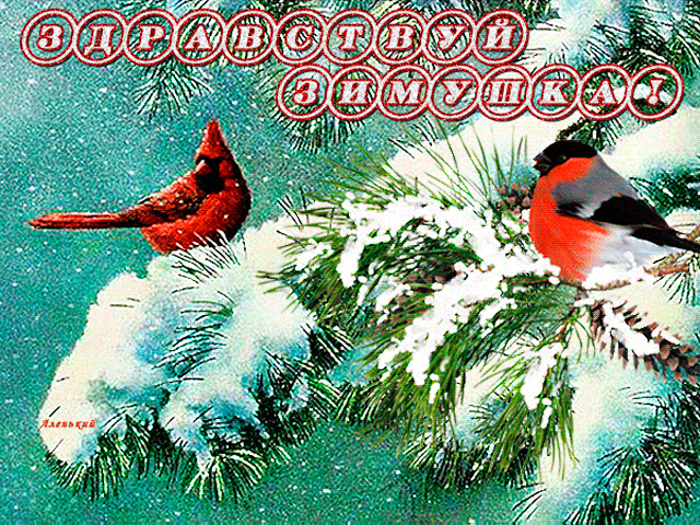 11. Gif картинка Свиристит зима на ветке красногрудым снегирём.