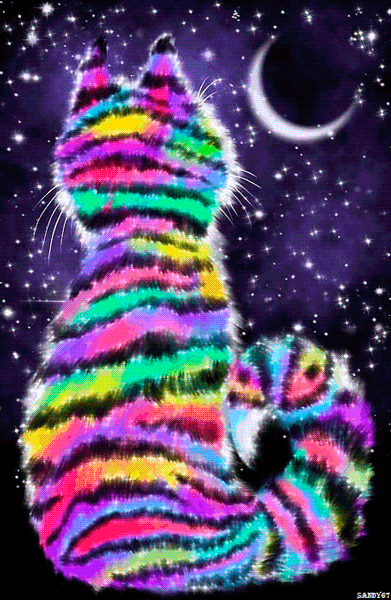 5. Красивая gif картинка Сказочный радужный кот