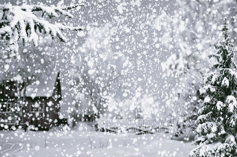 6. Живые открытки снегопад, Баннер зима снегопад