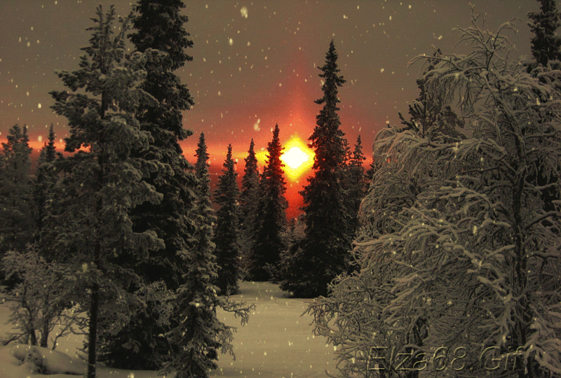10. Зимний Вечерний снегопад в лесу, Анимированный зимний лес