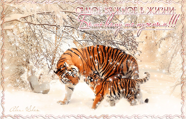 17. Зимняя гифка на день рождения в год тигра