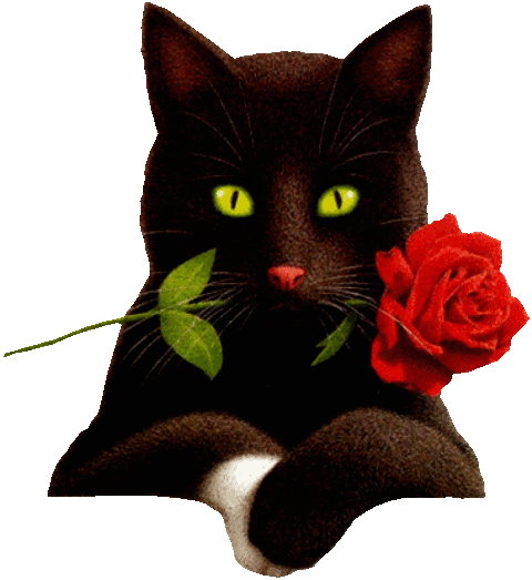 12. Кот с розой в зубах, Анимационные кошки прикольная аватарка на прозрачном фоне!