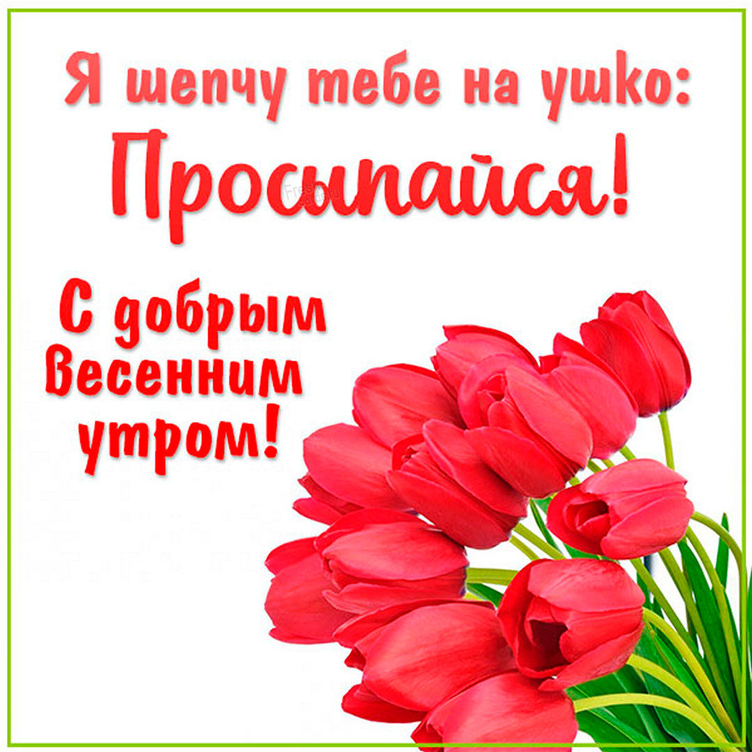 86. Я шепчу тебе на ушко : Просыпайся! С Добрым весенним утром в Апреле!