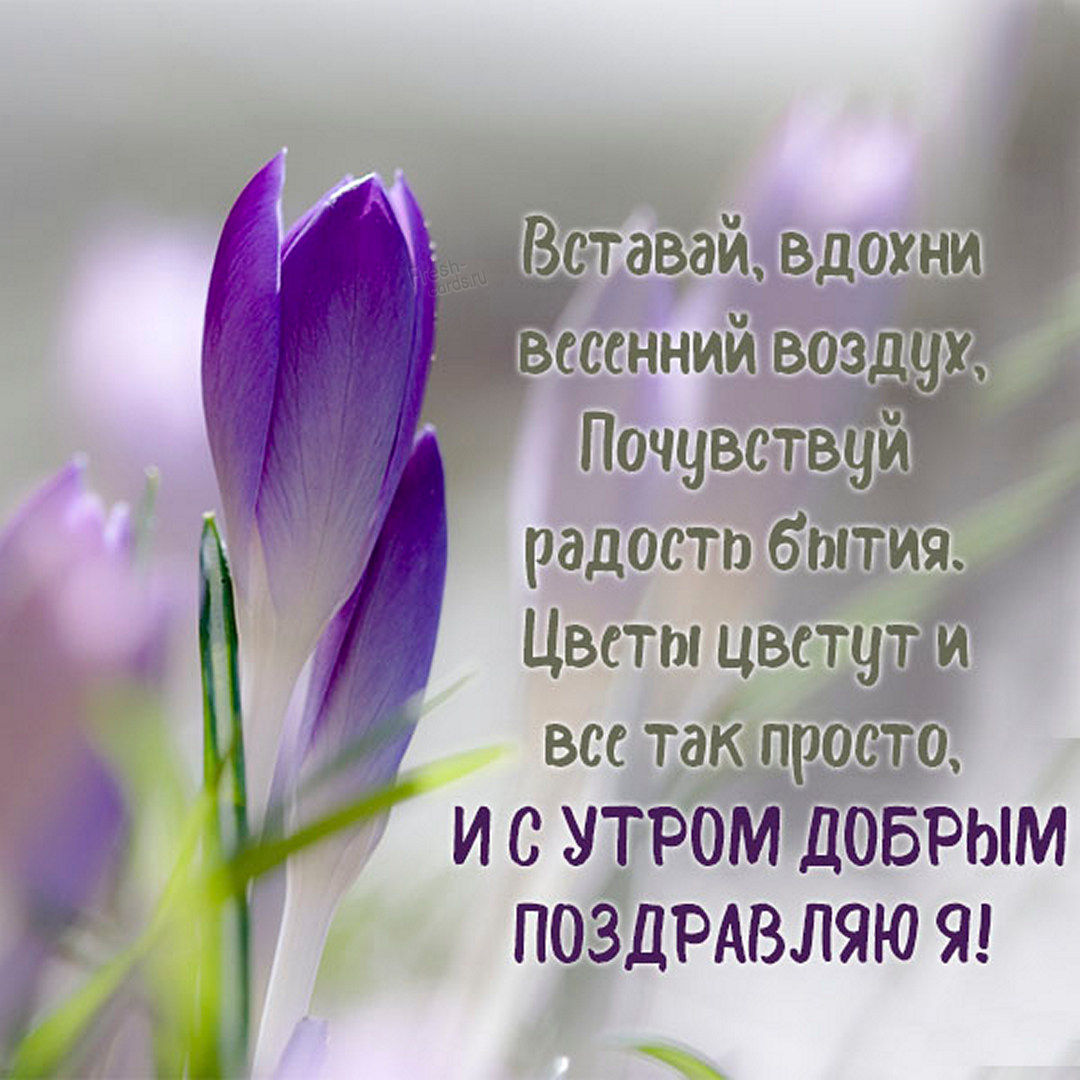 Запахло весной картинки. Весенние цветы. Аромат весны. Запах весны. Аромат весенних цветов.