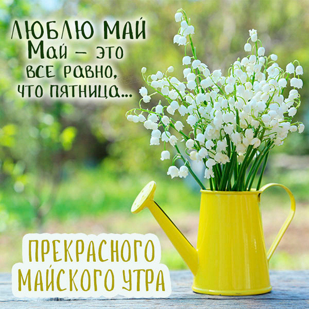 71. Люблю Май, Май — это всё равно, что пятница!