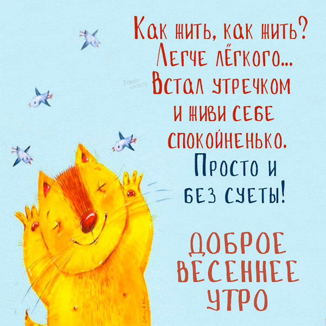 62. Как жить, как жить? Легче лёгкого… Встал утречком и живи себе спокойненько. Просто и без суеты, доброе Майское утро!