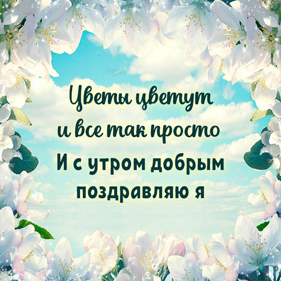 74. Цветы цветут и всё так просто! И с утром добрым поздравляю Я!