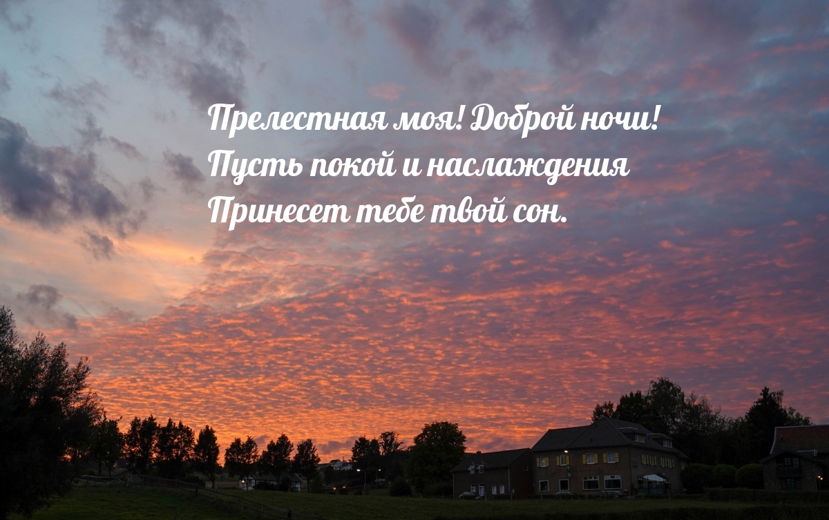 17. Нежной ночи, любимая… Пускай приснятся сны, которые любовью, теплом, добром полны.