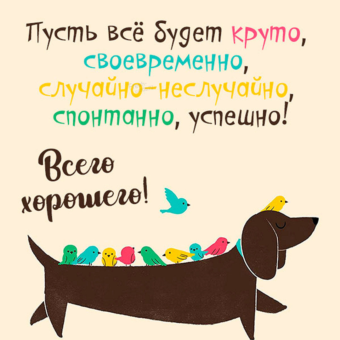 1. Прикольная картинка пусть всё будет круто, своевременно, случайно — неслучайно, спонтанно, успешно! Всего хорошего!