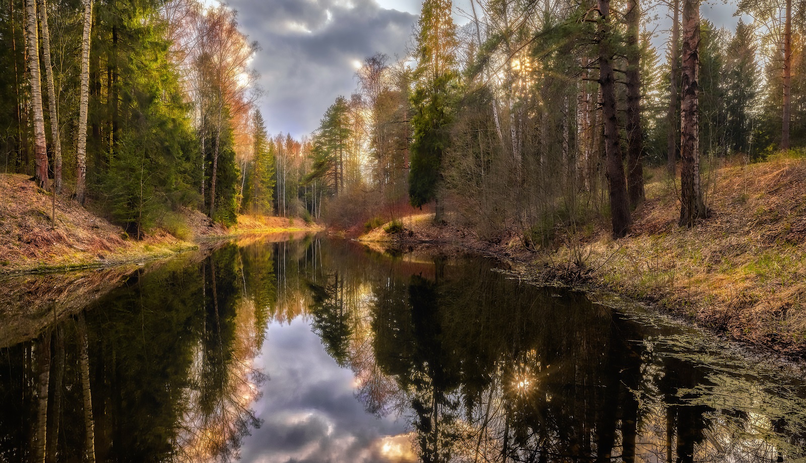 Фотографы леса. Фото Весна озера и лес. Писатели о лесе.